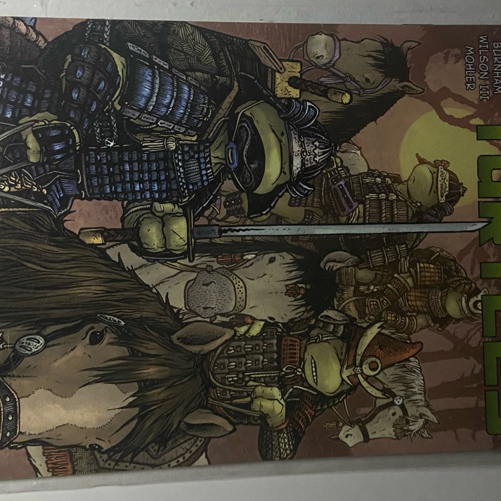 Teenage Mutant Ninja Turtles Comic Book